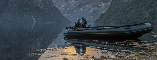 Mercury inflatable boats cover